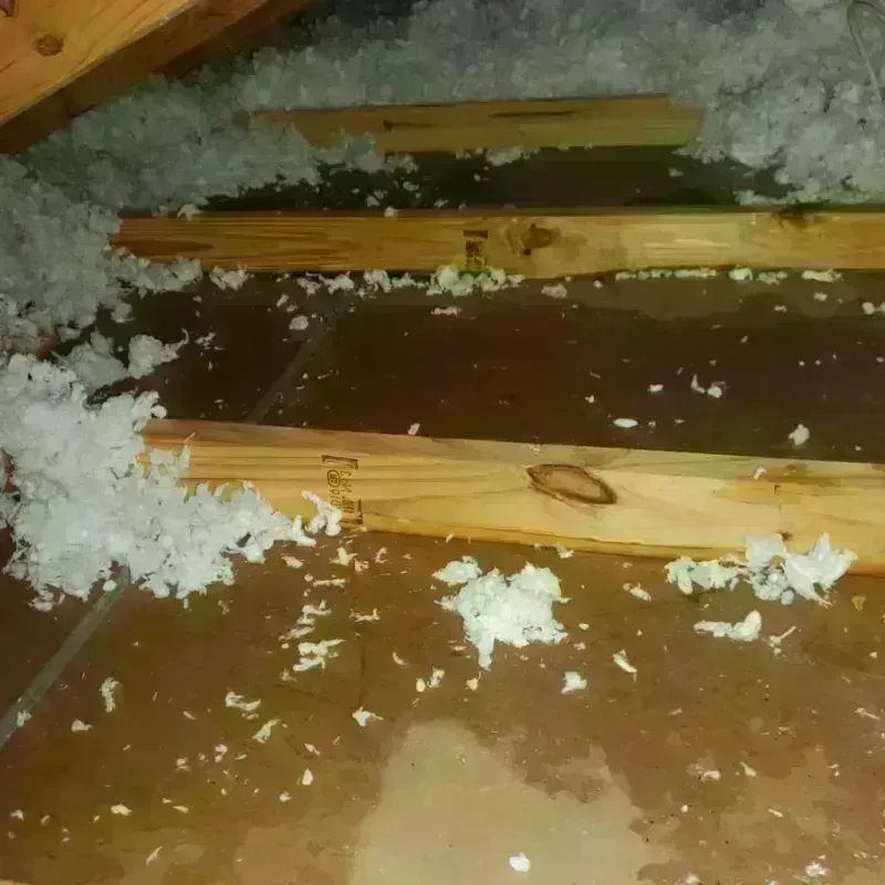 Attic Water Damage in Aguas Buenas, PR